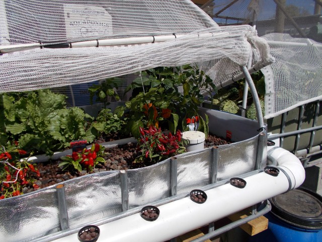 DSCN0397 (Small).JPG