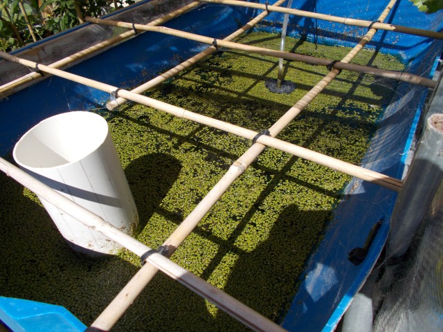 DSCN0402 (Small).JPG