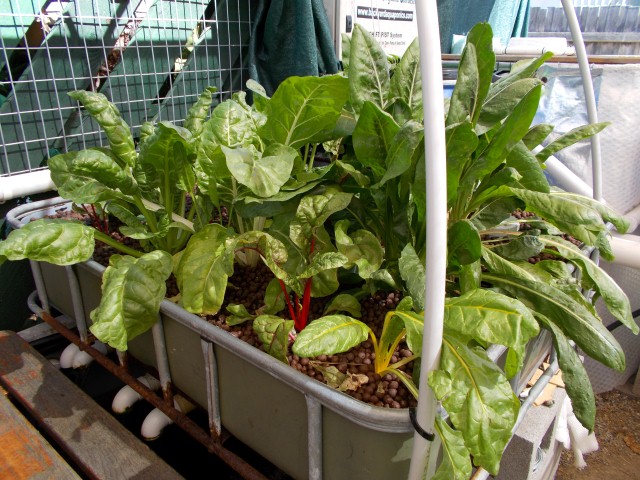 DSCN0403 (Small).JPG