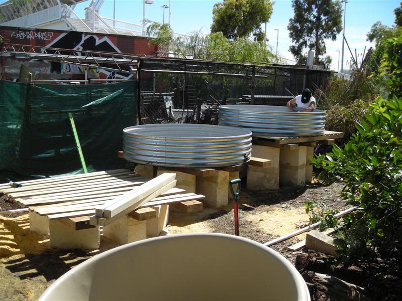 DSCN0161 (Medium).JPG