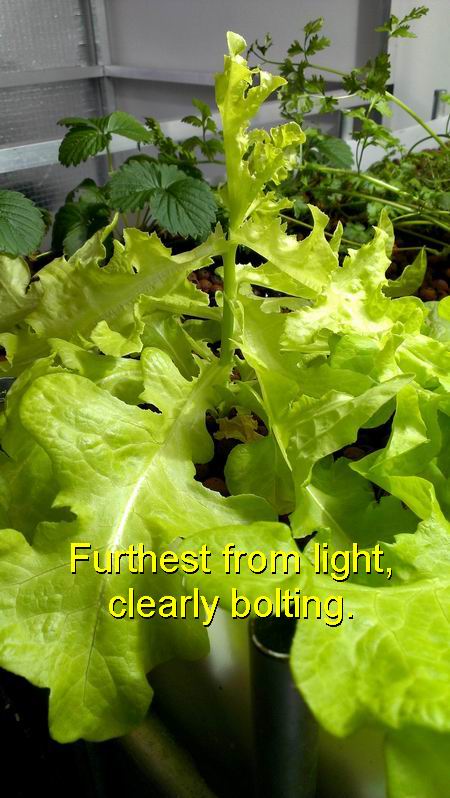 Resize of Re-exposure of 168.jpg