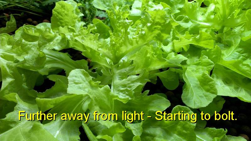 Resize of Re-exposure of 166.jpg