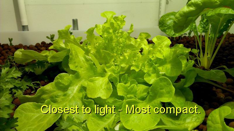 Resize of Re-exposure of 160.jpg