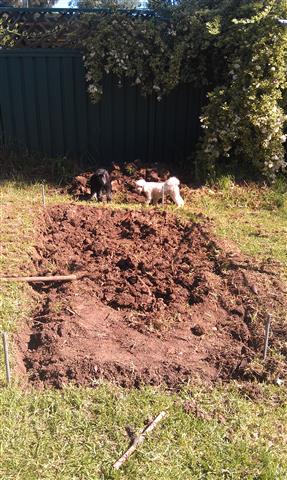 IMAG1022 (Small).jpg