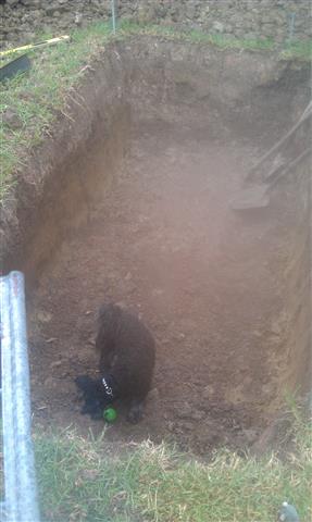 IMAG1050 (Small).jpg