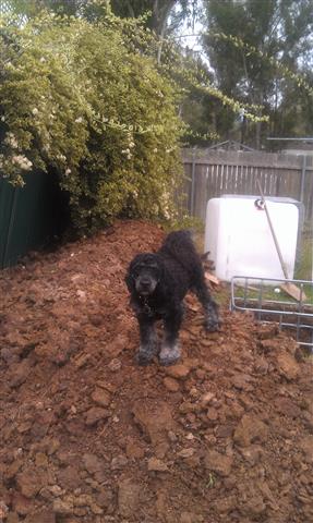 IMAG1058 (Small).jpg