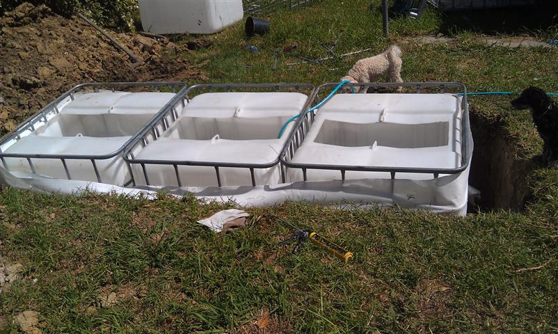 IMAG1076 (Small).jpg