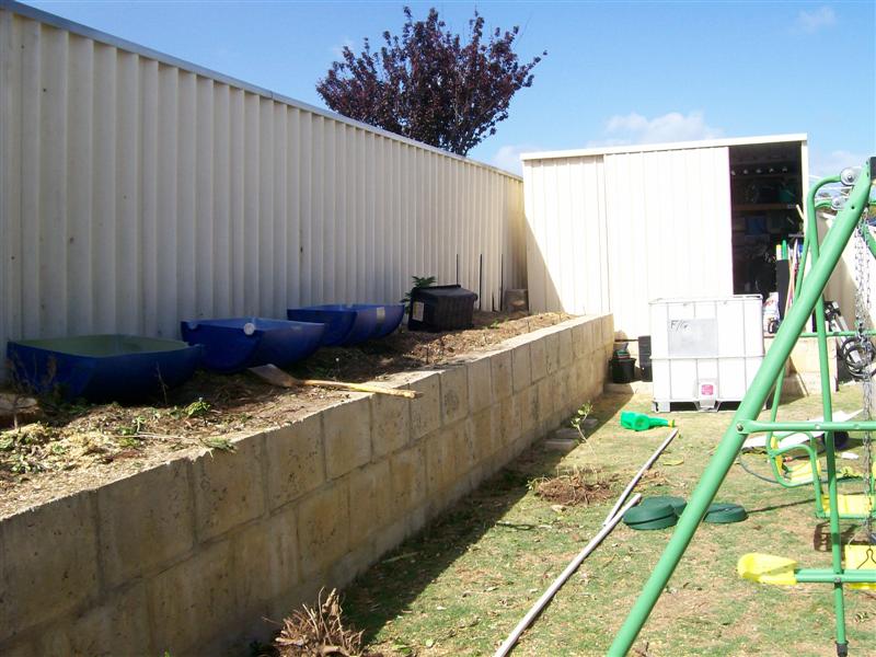 101_0274_00 (Medium).jpg