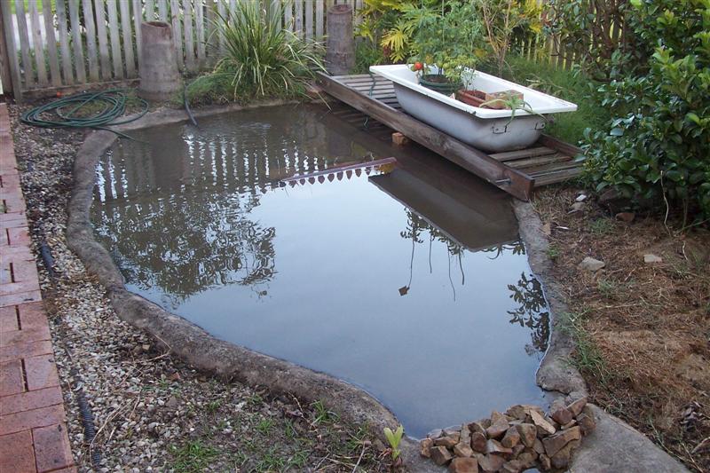 pond system (Medium).jpg