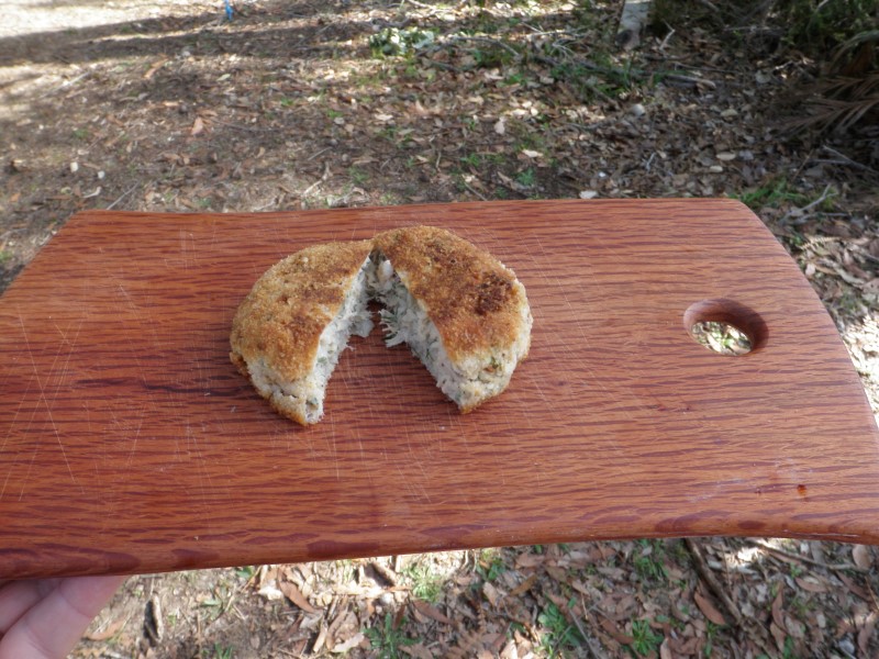 P1010195 (Custom).JPG