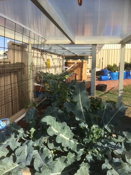 IMG_2127 resized.jpg