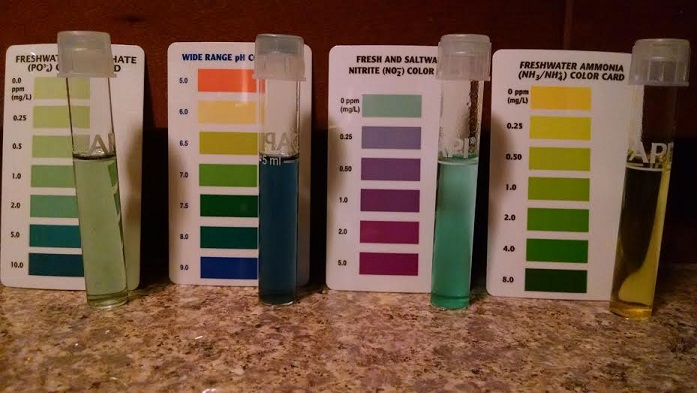 Pond Test 4 3 15.jpg