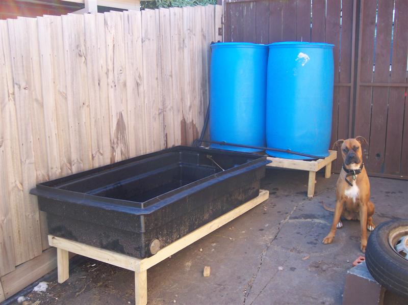 100_5854 (Medium).JPG