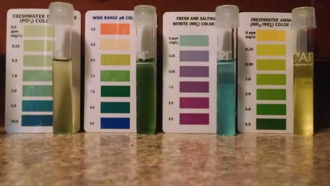Pool FT Water Test 4 5 2015.jpg