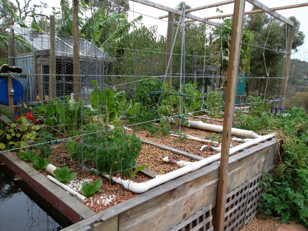 Cleaned bed (600x450).jpg