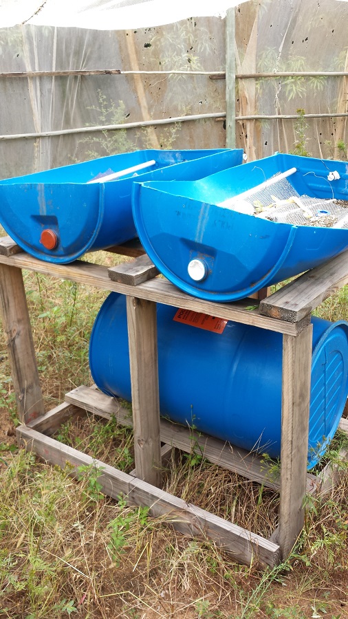 20150406_103823 (2).jpg