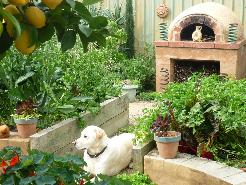 Pizza oven and dirt garden.jpg