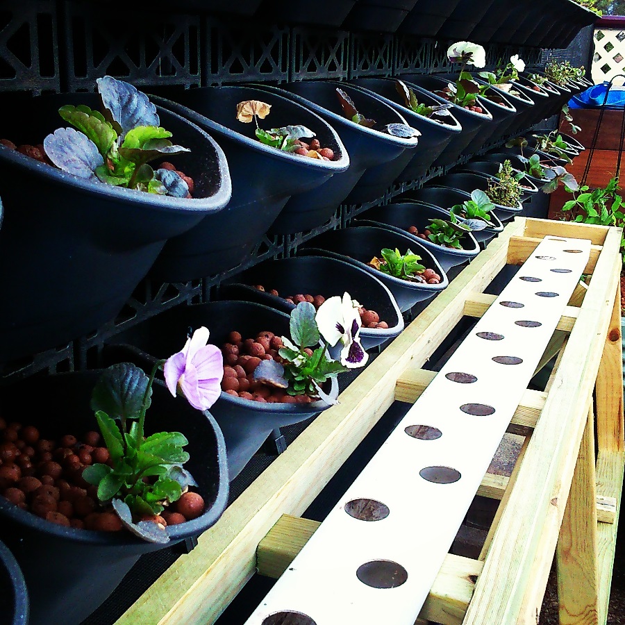 IMG_20150406_211757 e.jpg