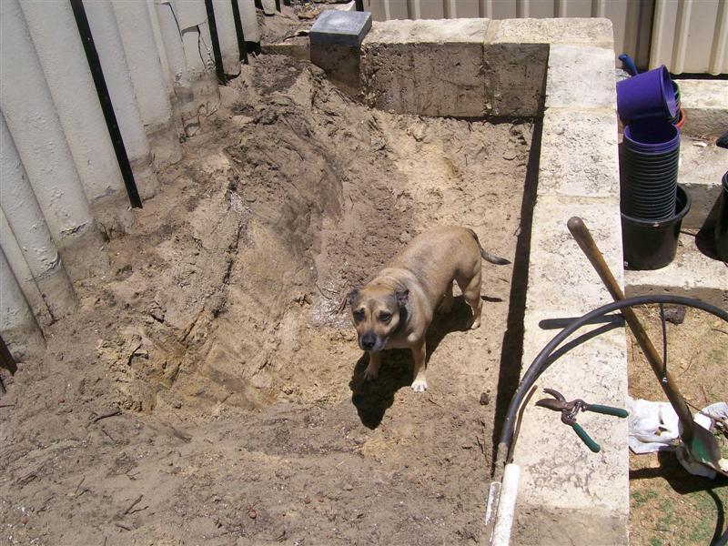 Picture 010 (Medium).jpg