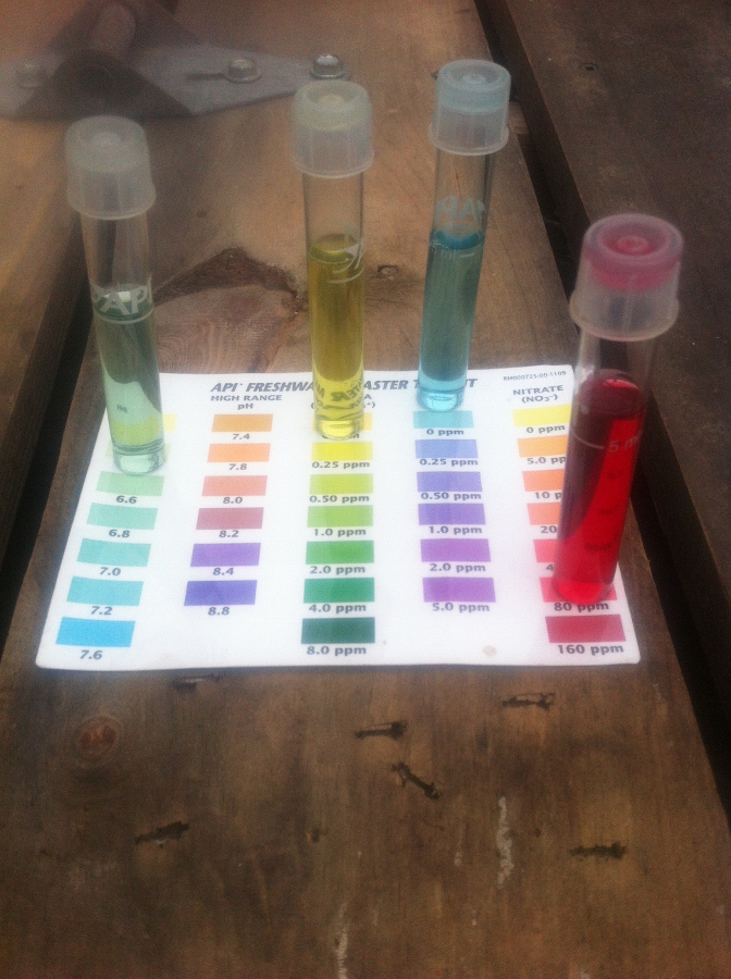 IMG_0874 (672x900).jpg