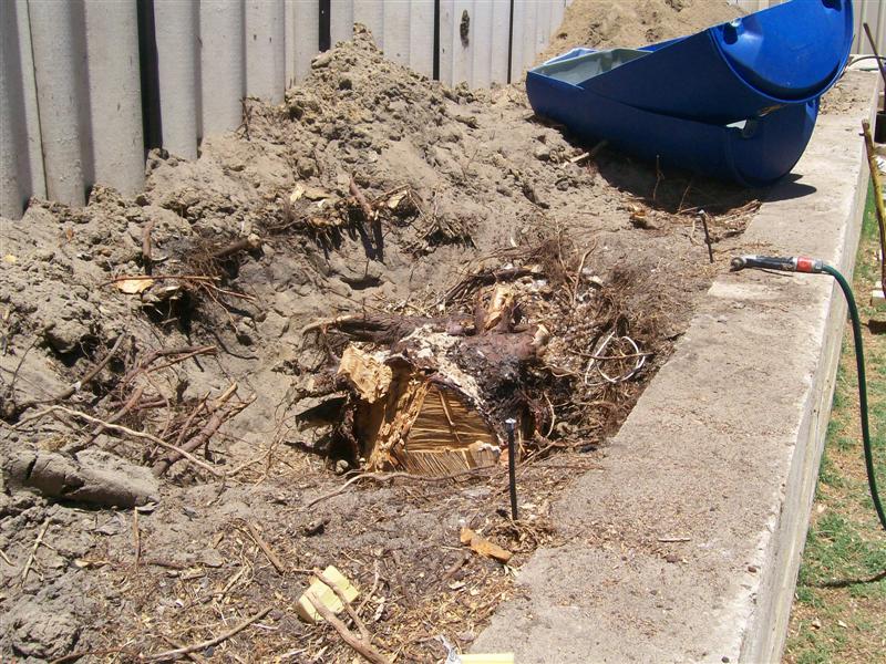 Picture 007 (Medium).jpg