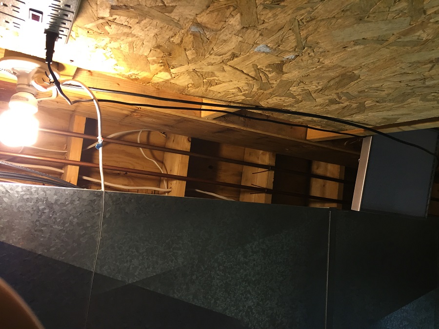 Area above Grow Beds small.jpg