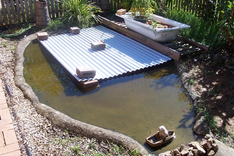 101_1481 (Medium).jpg