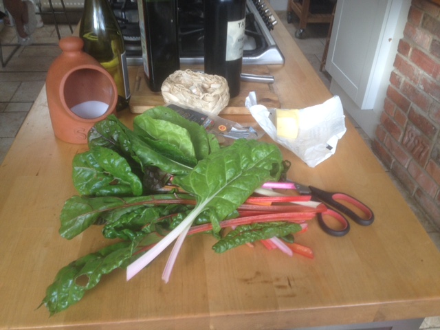 Chard 1.JPG