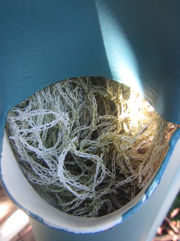 Close up of biofilm in grow tower bird netting.jpg