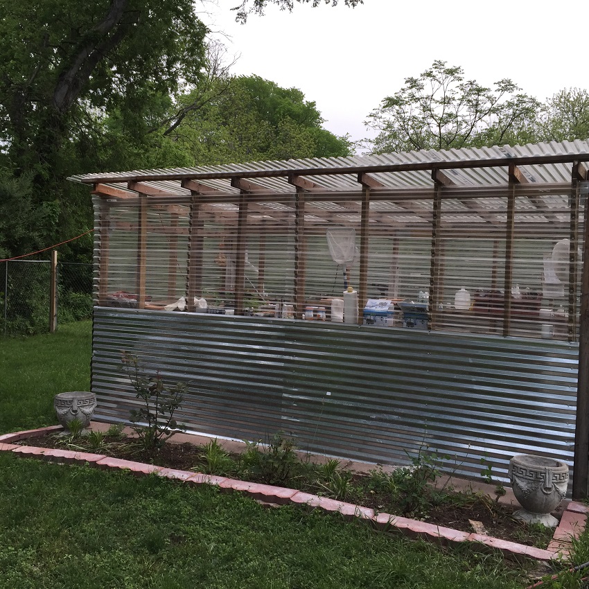 greenhouse.jpg