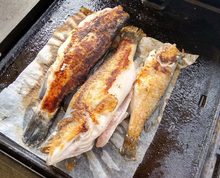 MurrayCod-BBQ.jpg