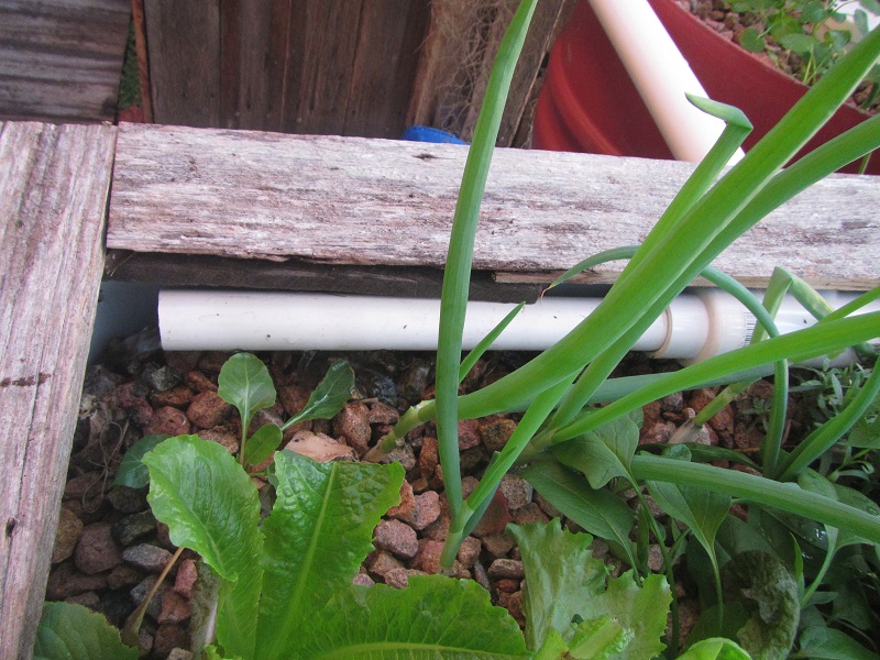 19 April 2015 - GB manifold blocking due to FT solids - now dismantled.jpg