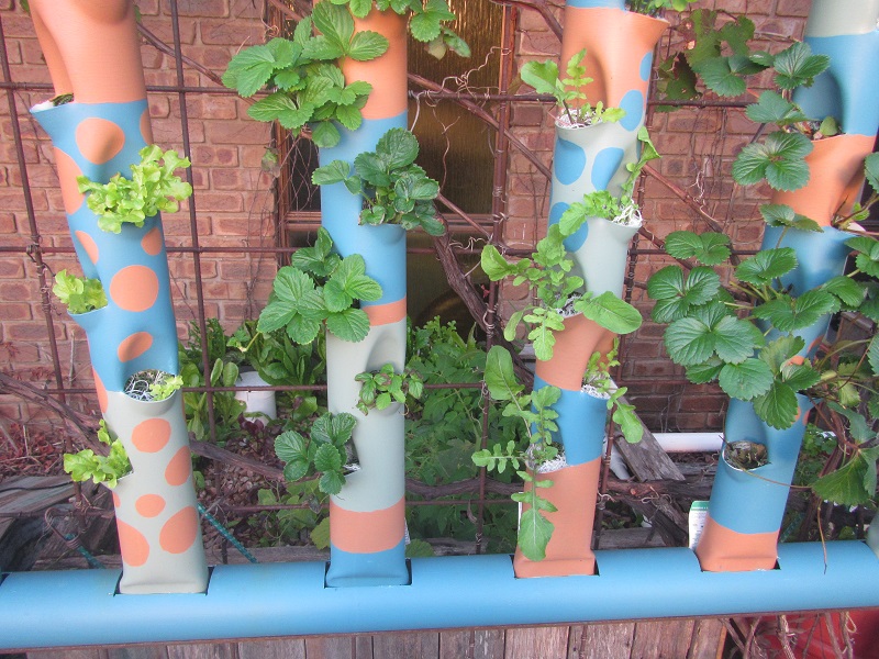 19 april 2015 - getting some nice growth in towers.jpg