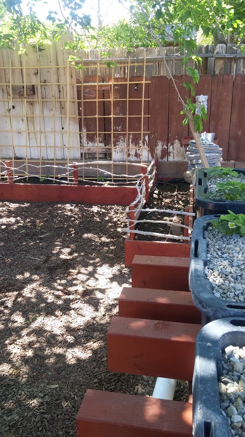 Raised Beds.jpg