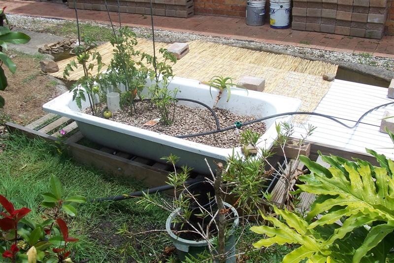 over the fence aquapondics (Medium).jpg