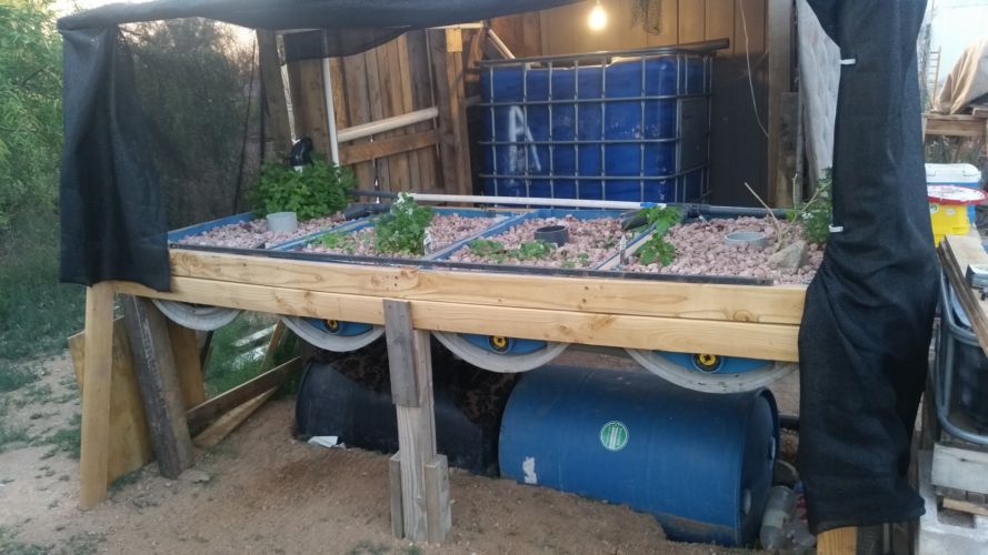 Fish tank-Grow bed-Sump tank.jpg