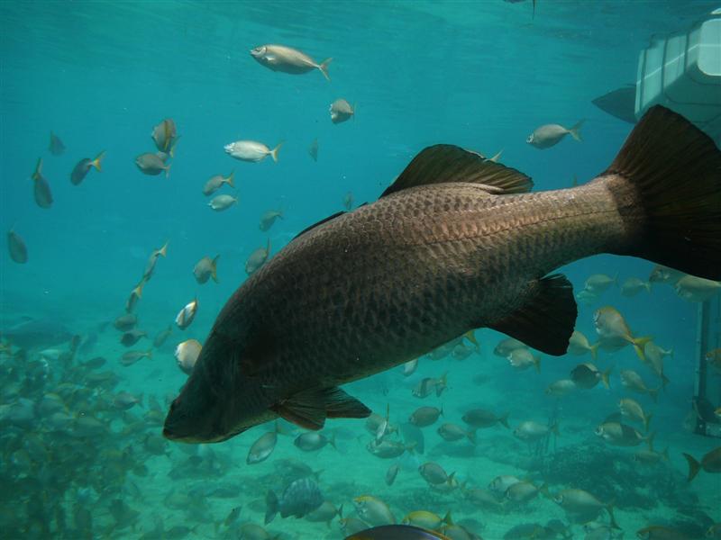 Lumix 256 (Medium).jpg