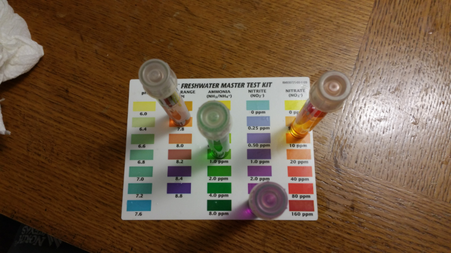 water_test_4_24.jpg