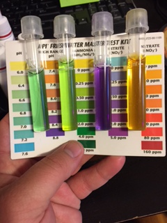 Test 4_25_2015 indoor system.JPG