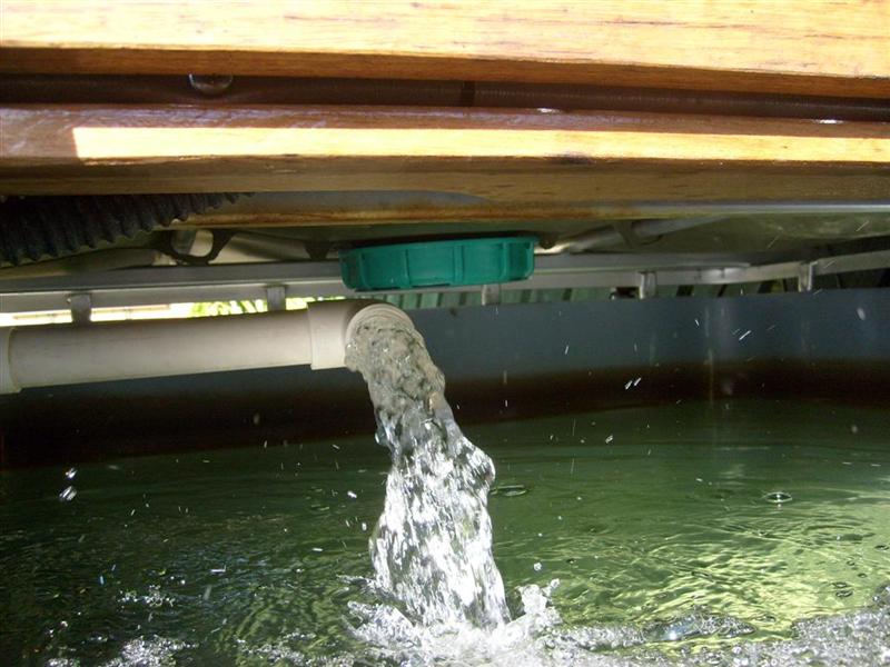 S6302713 (Large) (Medium).JPG