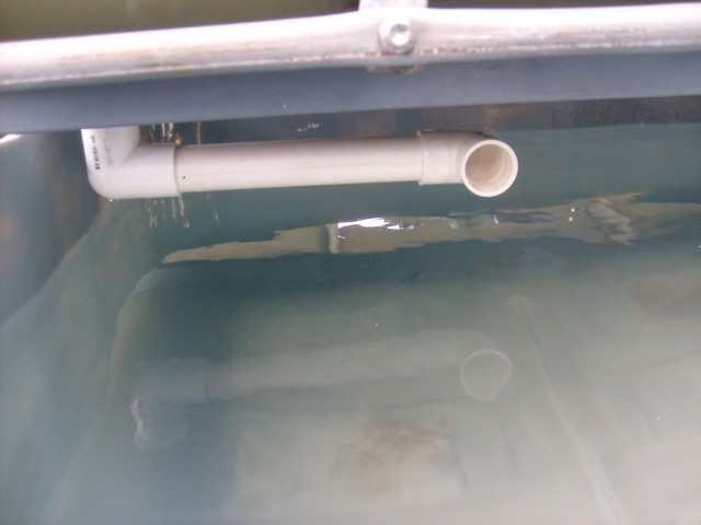 S6302811 (Small).JPG