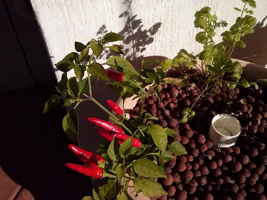 2015-04-27 15.42.49.jpg