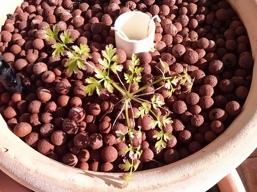 2015-04-27 15.42.59.jpg