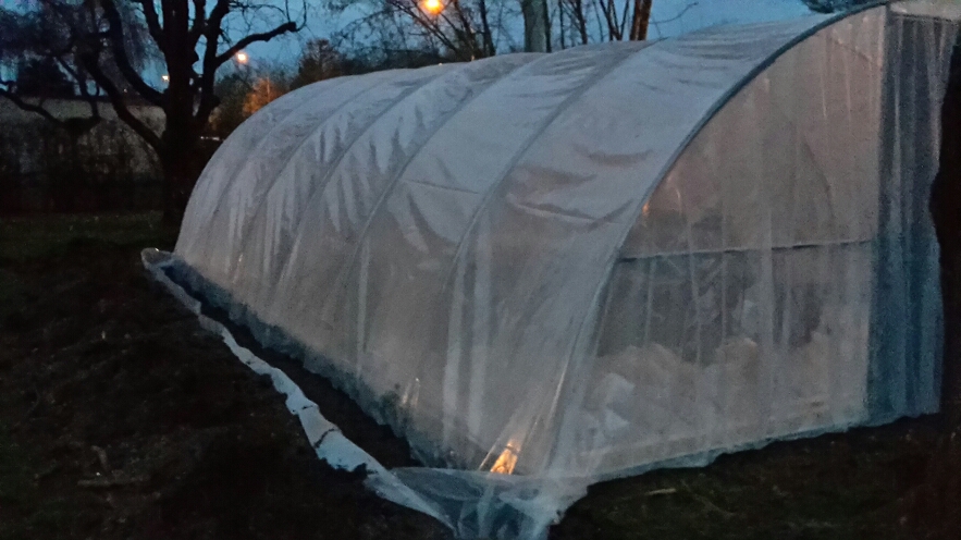 2015-04-28 11.02.58.jpg