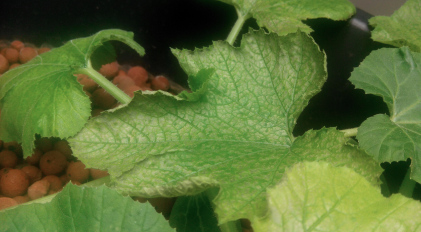 Screen Shot 2015-04-29 at 9.14.27 PM.png