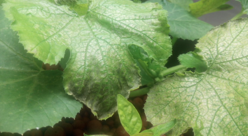 Screen Shot 2015-04-29 at 9.14.35 PM.png