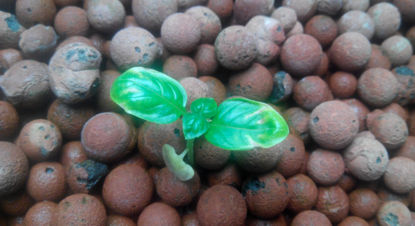 Screen Shot 2015-04-29 at 9.14.41 PM.png