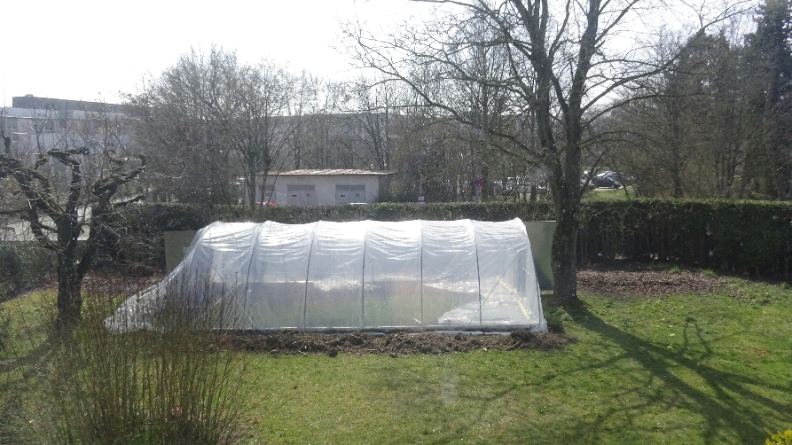 2015-04-30 10.19.56.jpg