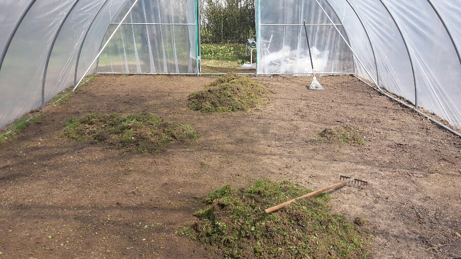 2015-05-01 01.23.58.jpg