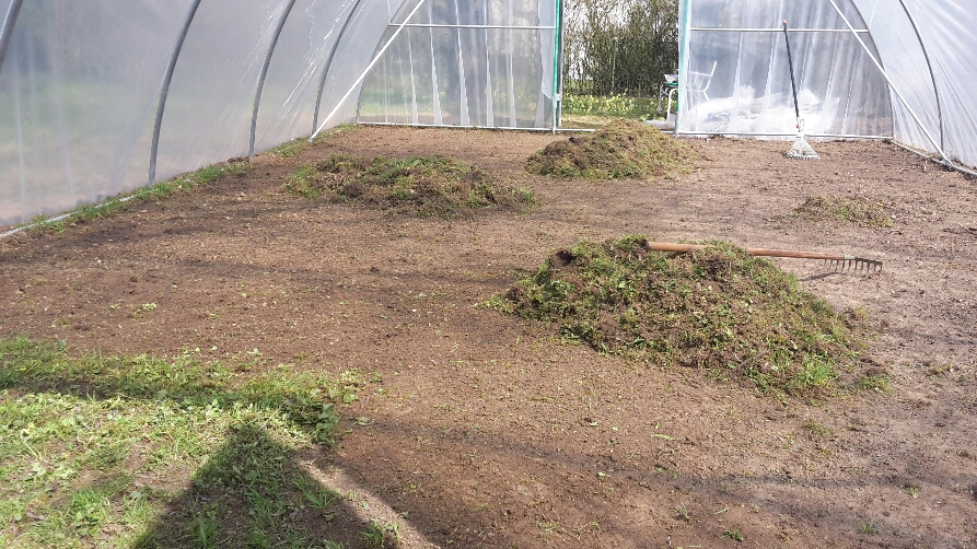 2015-05-01 01.22.48.jpg